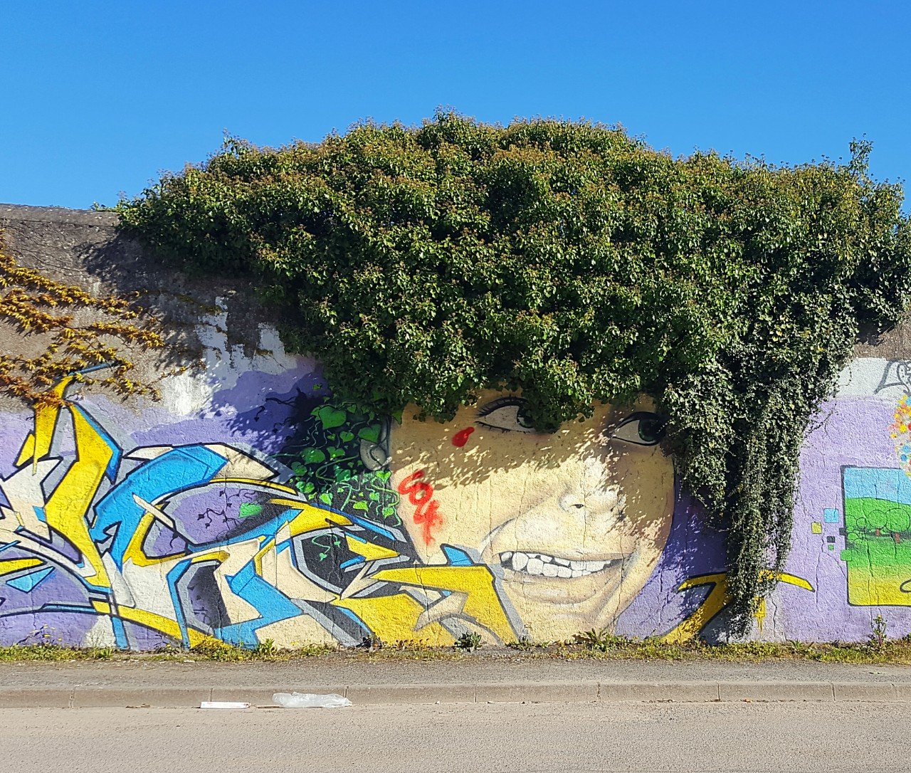 Coiffure en folie, coiffure ratée, street art à Tours